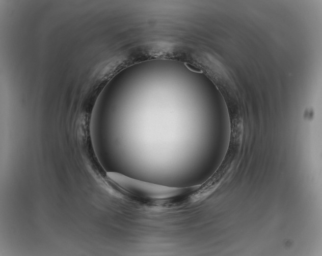 X0000097840280200803141214