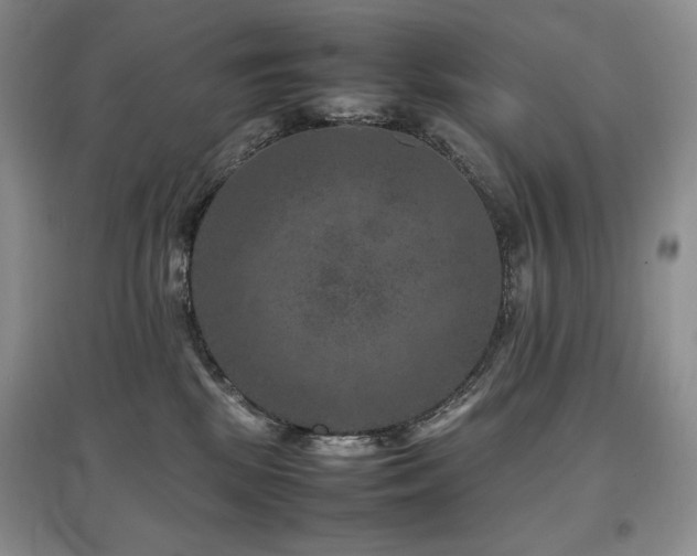 X0000097840281200803141214
