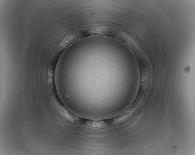 X0000097840282200803141214