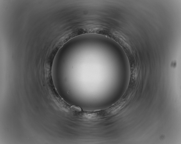 X0000097840283200803141214