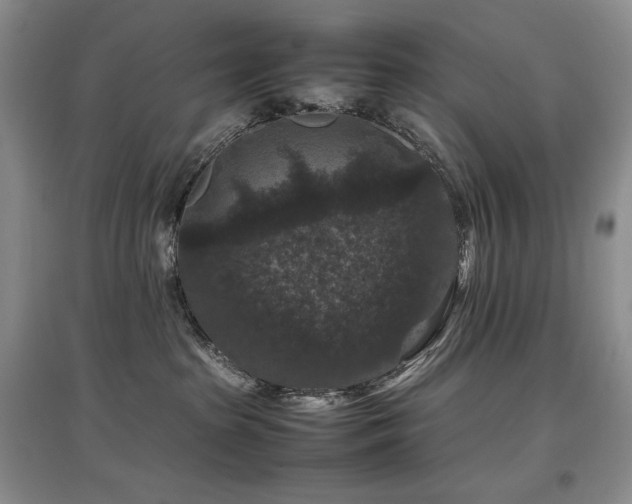 X0000097840285200803141214