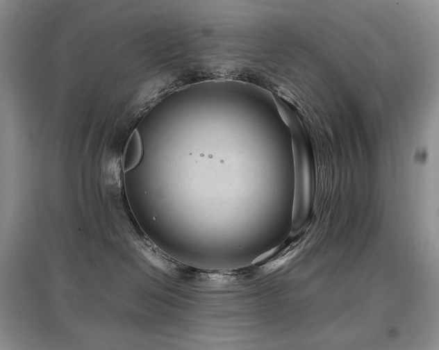 X0000097840286200803141214