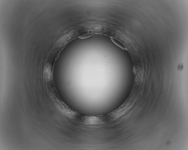 X0000097840287200803141214