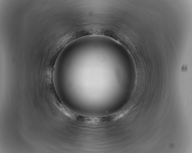 X0000097840288200803141215