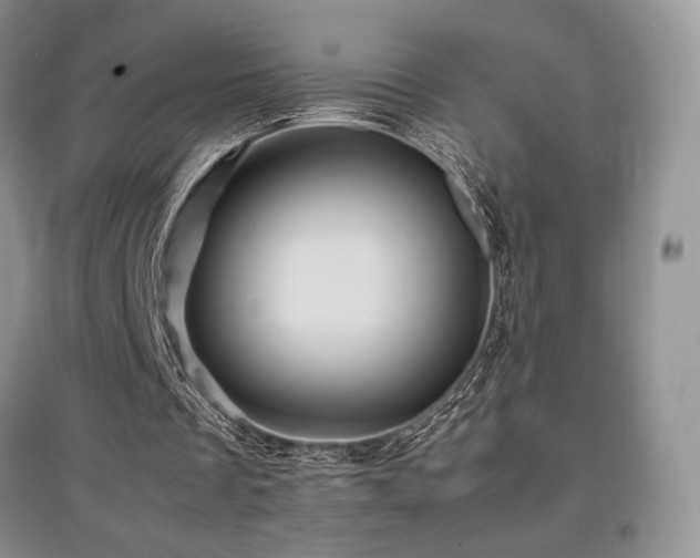 X0000097840289200803141214