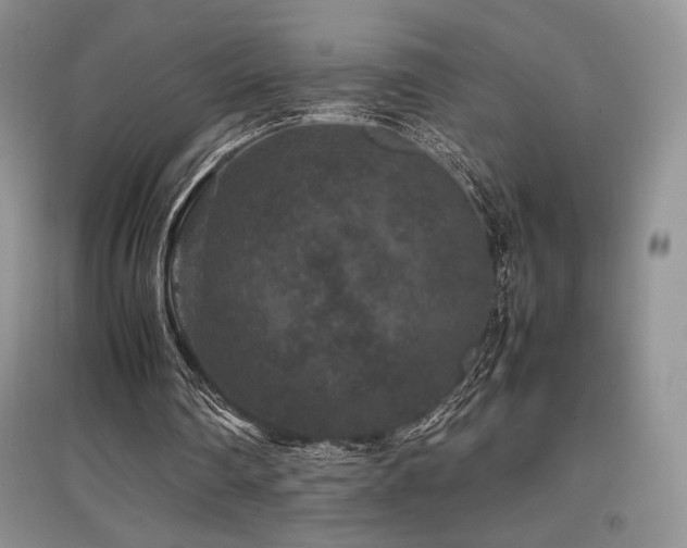 X0000097840290200803141214