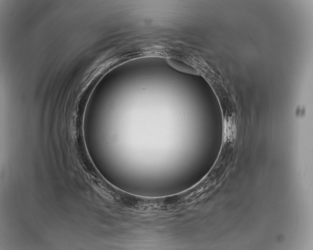 X0000097840291200803141214