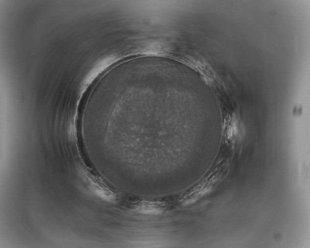 X0000097840292200803141214