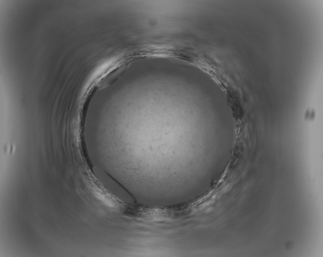 X0000097840293200803141214