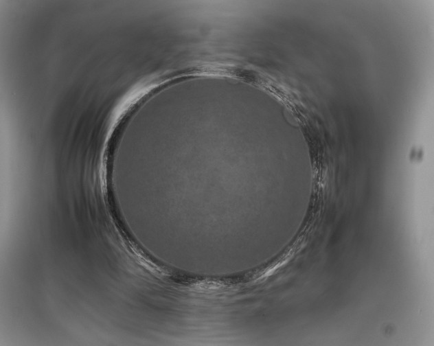X0000097840294200803141214