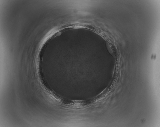 X0000097840295200803141214