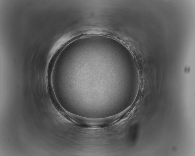 X0000097840296200803141214