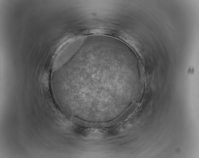X0000097840297200803141214