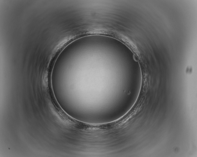 X0000097840298200803141214