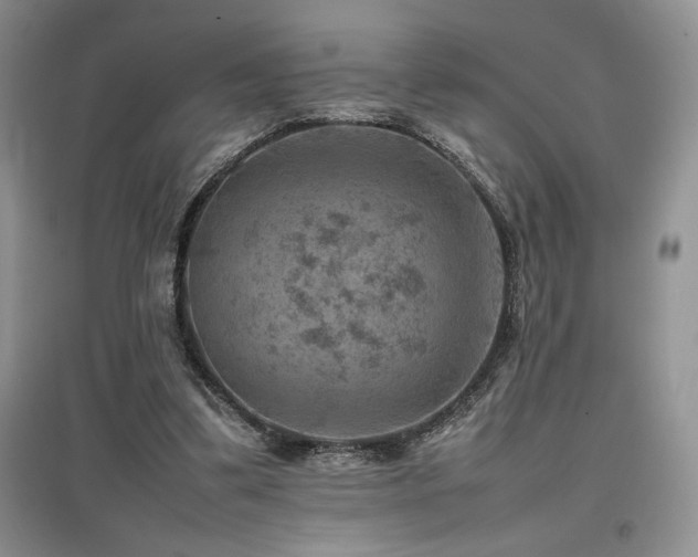X0000097840299200803141214