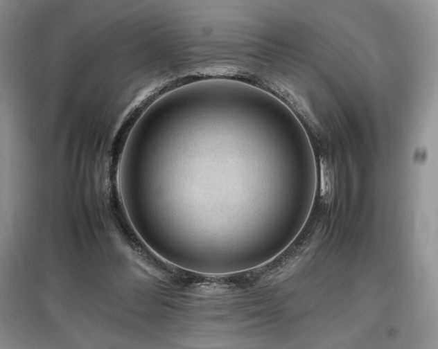 X0000097840300200803141214