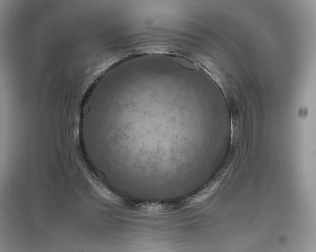 X0000097840301200803141214