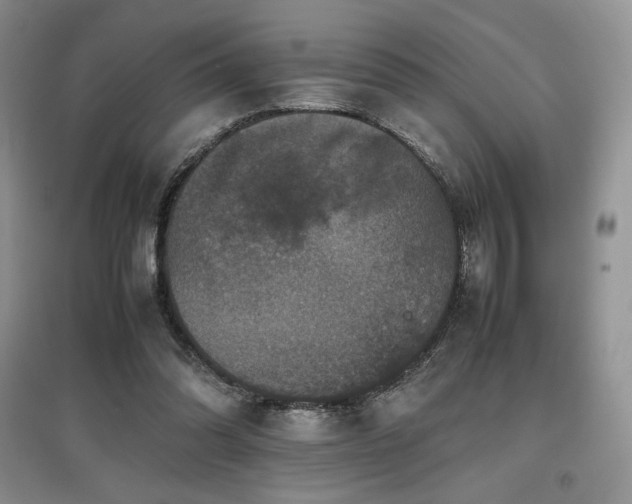 X0000097840302200803141214
