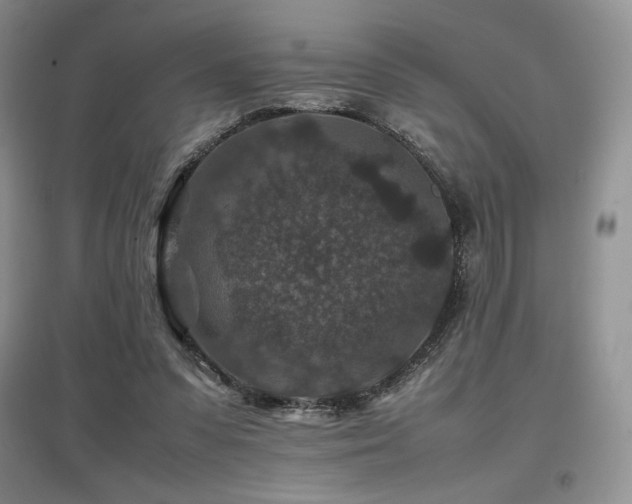 X0000097840303200803141214