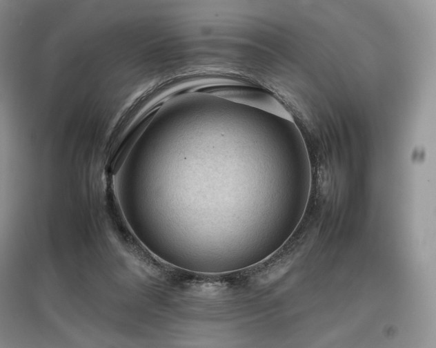 X0000097840304200803141214