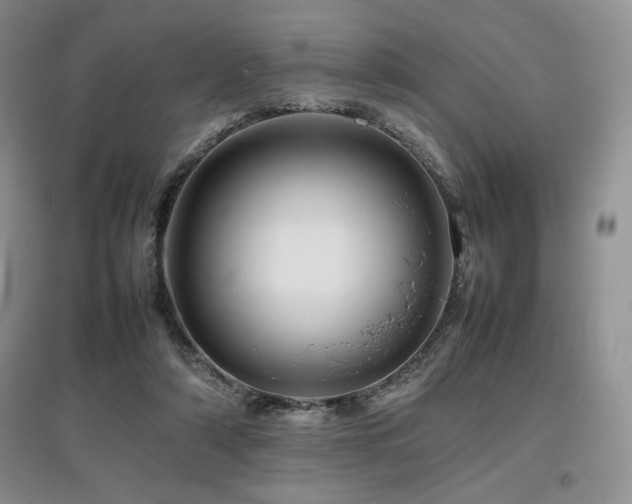 X0000097840306200803141214
