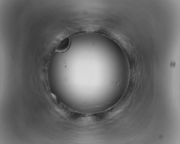 X0000097840307200803141214