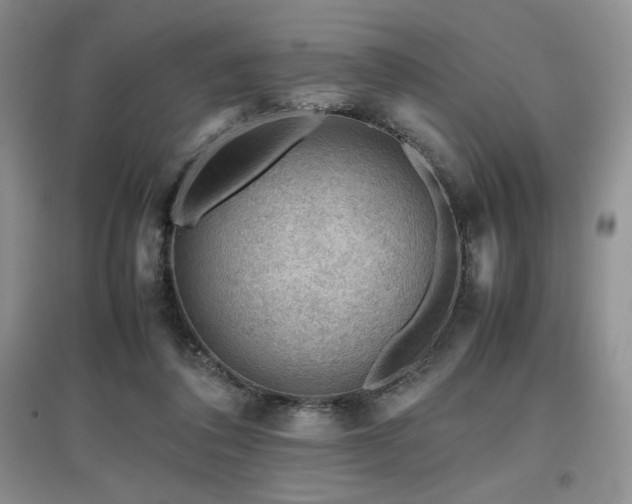 X0000097840308200803141214