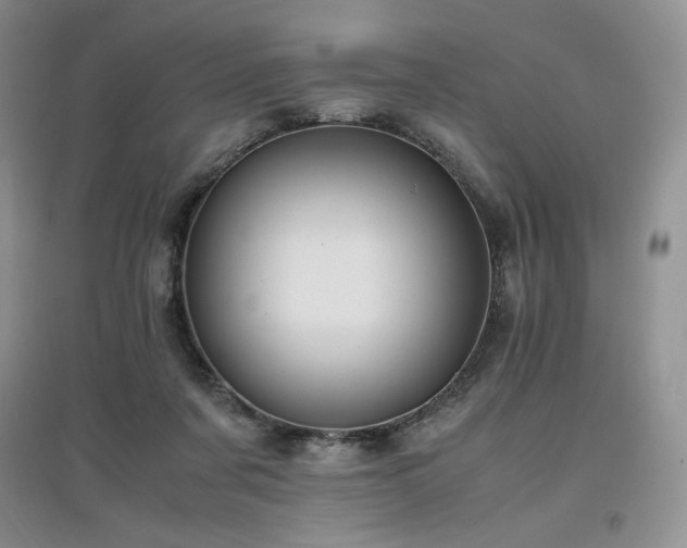 X0000097840311200803141214