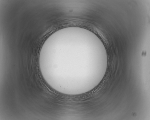 X0000097840313200803141214