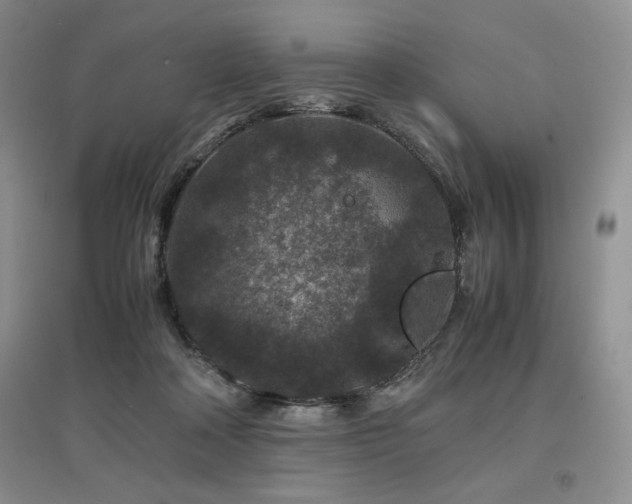 X0000097840314200803141213