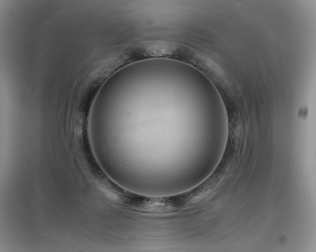 X0000097840315200803141213