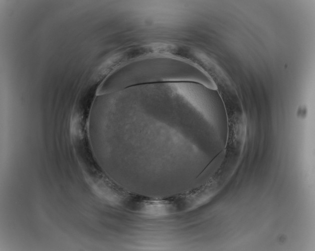X0000097840316200803141213