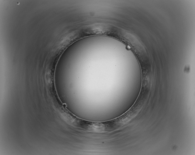 X0000097840317200803141213