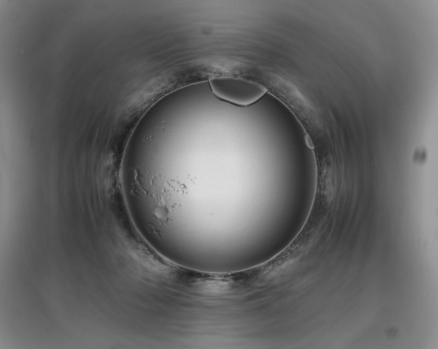 X0000097840318200803141213