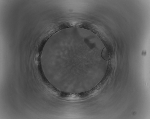 X0000097840319200803141213