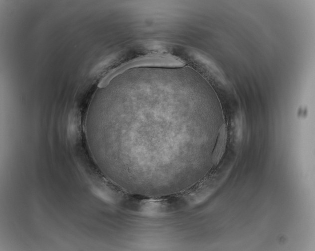 X0000097840320200803141213