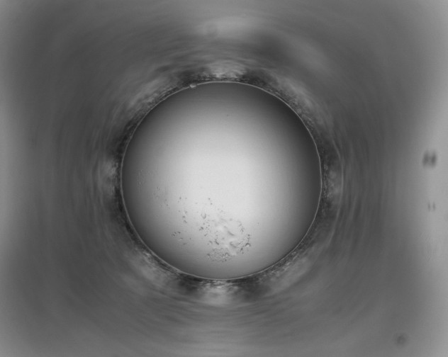 X0000097840321200803141213