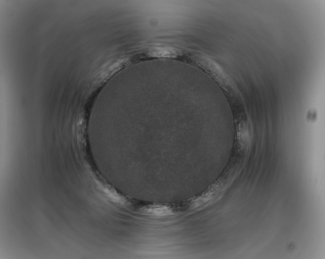 X0000097840322200803141213
