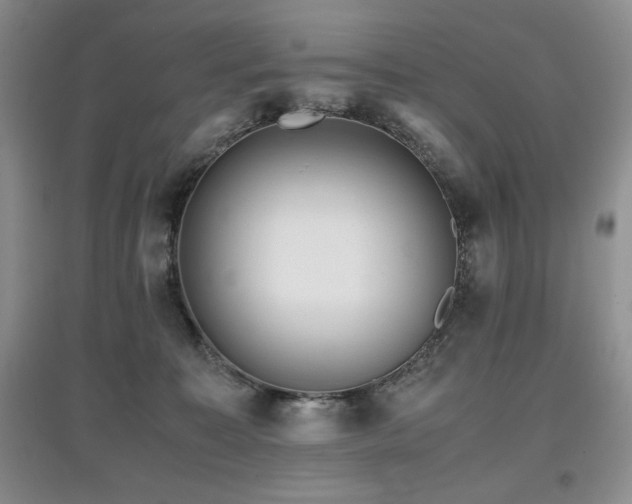 X0000097840323200803141213