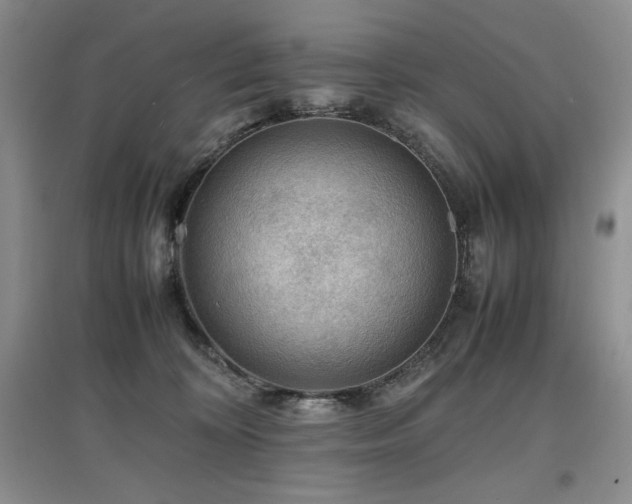 X0000097840324200803141213