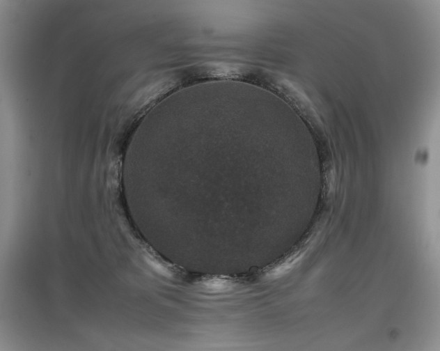 X0000097840325200803141213