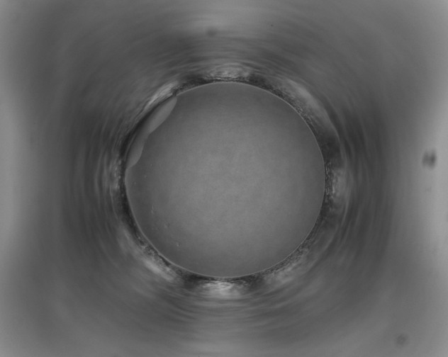 X0000097840326200803141213