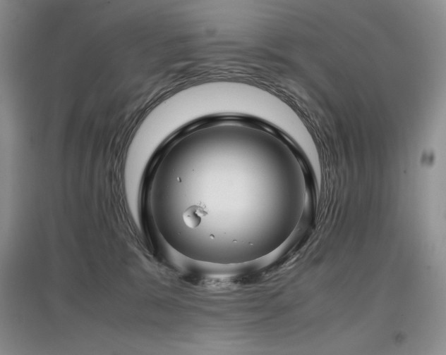 X0000097840327200803141213