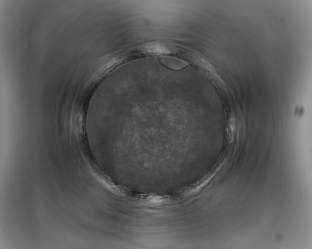 X0000097840330200803141213