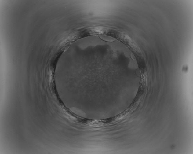 X0000097840331200803141213