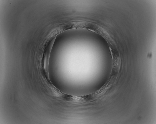 X0000097840333200803141213