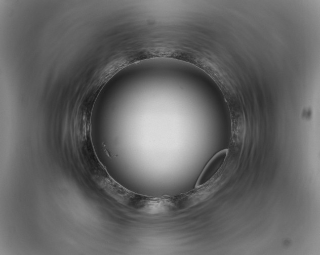 X0000097840334200803141213