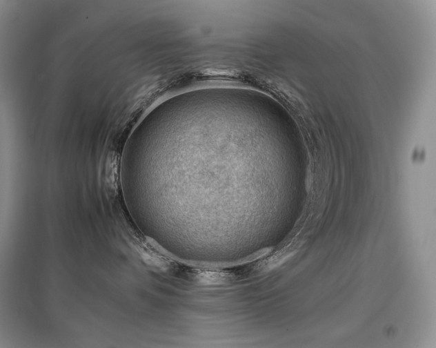 X0000097840336200803141213
