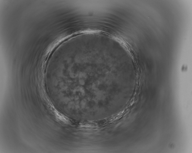 X0000097840337200803141213