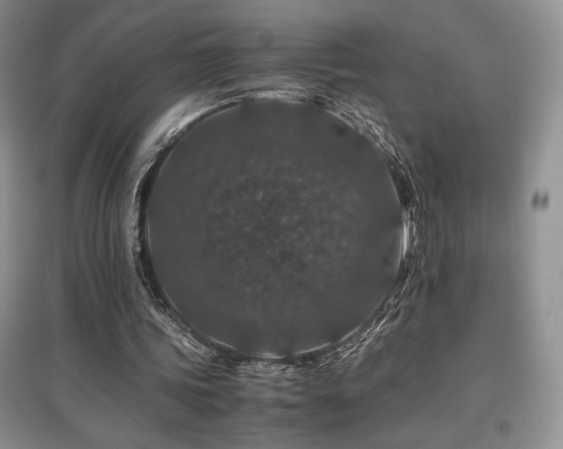 X0000097840339200803141213